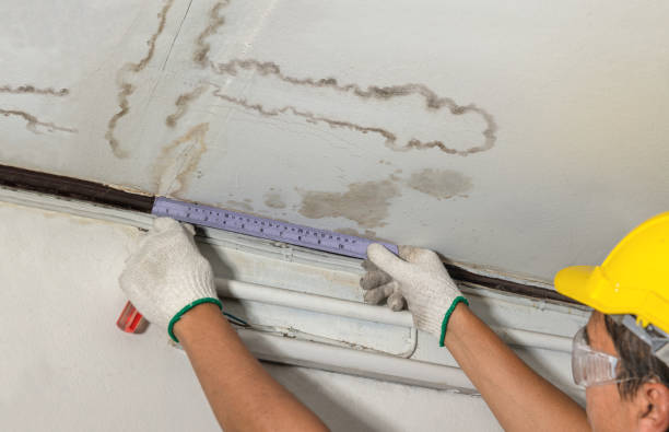 Reliable Water Damage contractor in New Riegel, OH by Water Damage Irwin